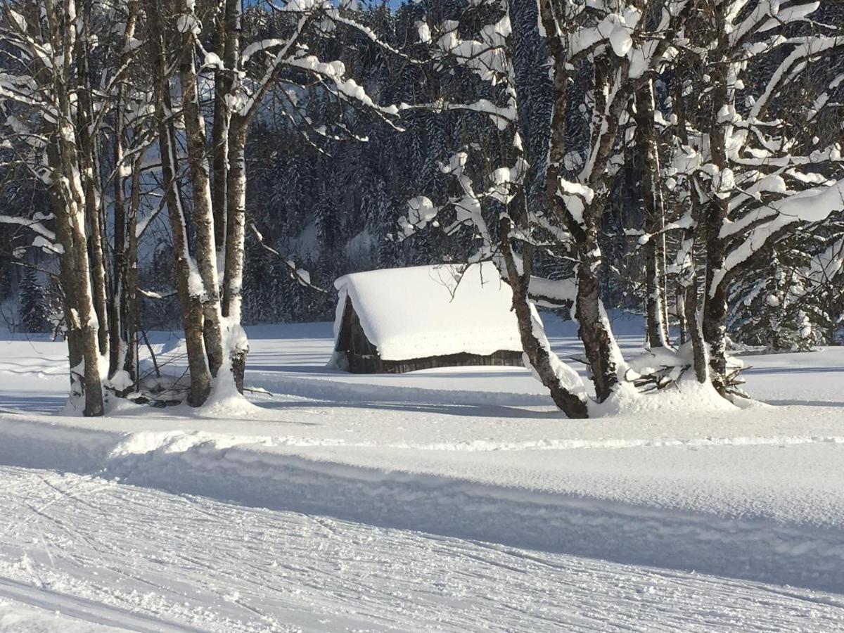 Appartementhaus Finis Ramsau am Dachstein Exterior photo